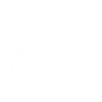 The Blues Water logo